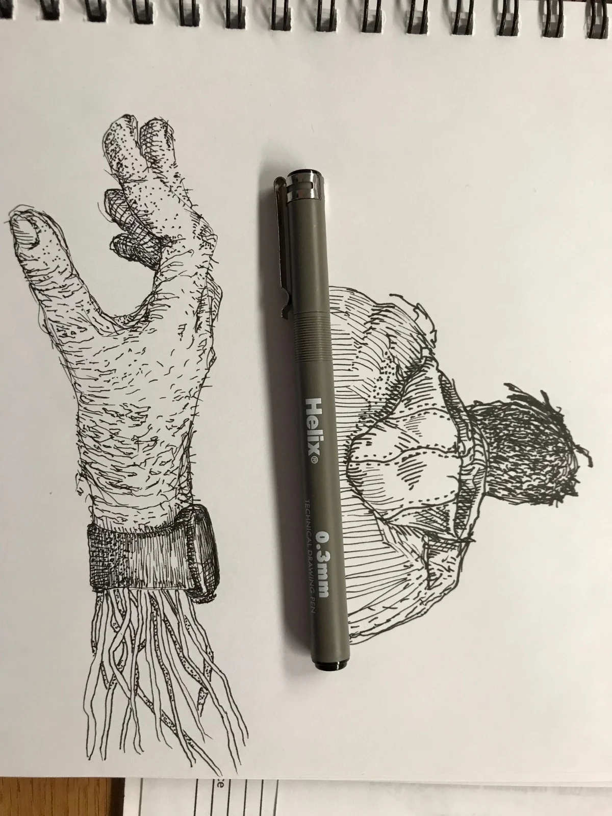 Pen Drawing